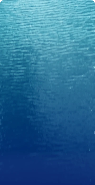 Background video